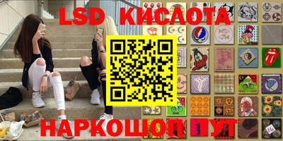 амф Заволжье
