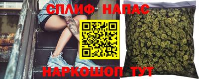 амф Заволжье