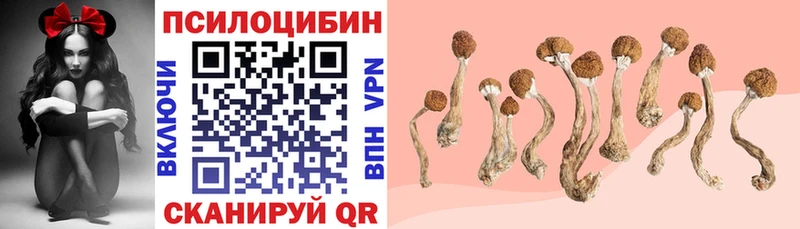 даркнет клад  Красноярск  Псилоцибиновые грибы Psilocybe 