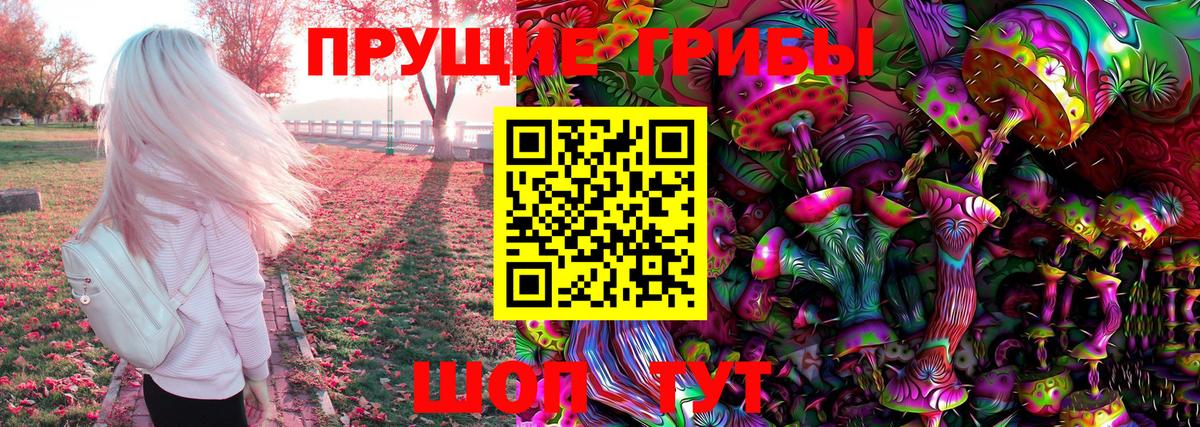 Красноярск  Псилоцибиновые грибы Psilocybe  Вход с VPN  Галлюциногенные грибы ЛСД 